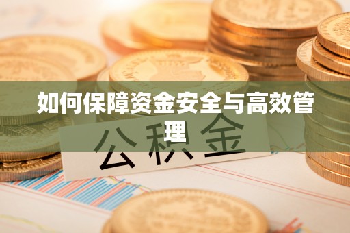 雨花台如何保障资金安全与高效管理