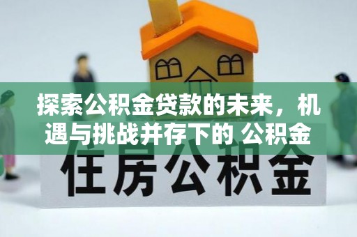 雨花台探索公积金贷款的未来，机遇与挑战并存下的 公积金贷款风险防控