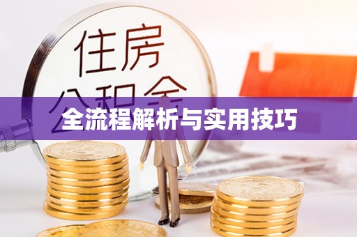 雨花台全流程解析与实用技巧