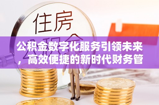 雨花台公积金数字化服务引领未来，高效便捷的新时代财务管理