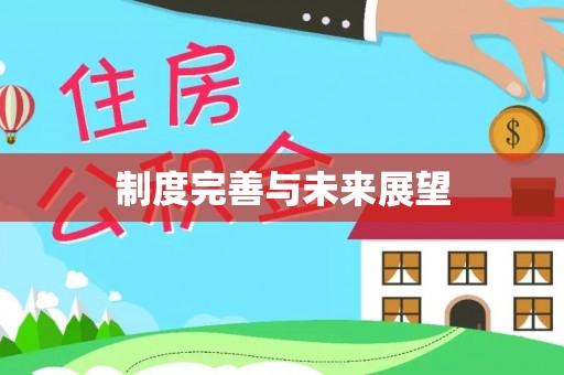 雨花台制度完善与未来展望