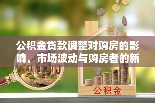 雨花台公积金贷款调整对购房的影响，市场波动与购房者的新选择