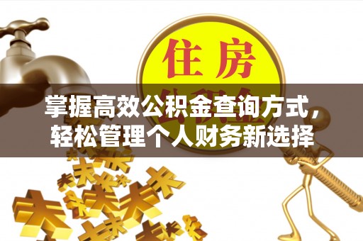 雨花台掌握高效公积金查询方式，轻松管理个人财务新选择