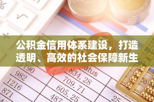 雨花台公积金信用体系建设，打造透明、高效的社会保障新生态