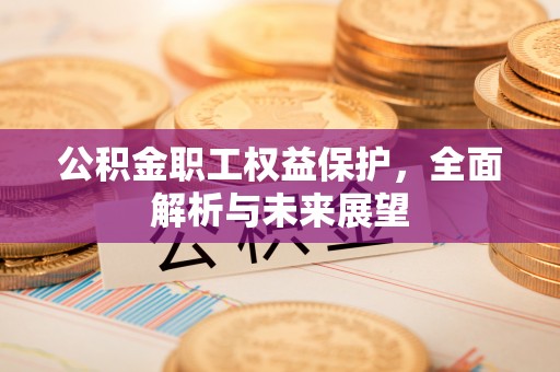 雨花台公积金职工权益保护，全面解析与未来展望