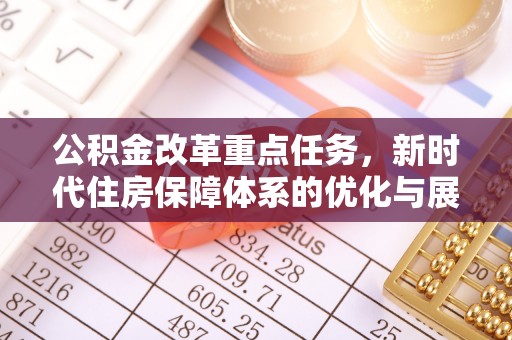 雨花台公积金改革重点任务，新时代住房保障体系的优化与展望