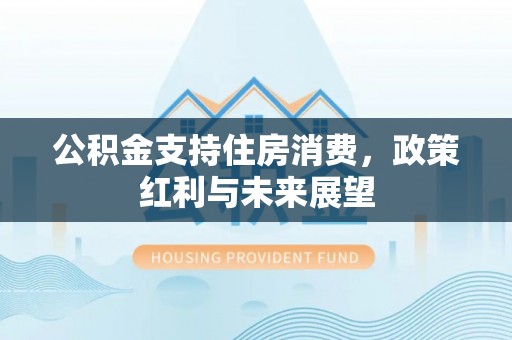 雨花台公积金支持住房消费，政策红利与未来展望