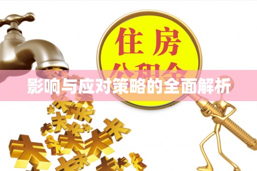 雨花台影响与应对策略的全面解析