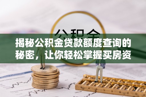 雨花台揭秘公积金贷款额度查询的秘密，让你轻松掌握买房资金规划