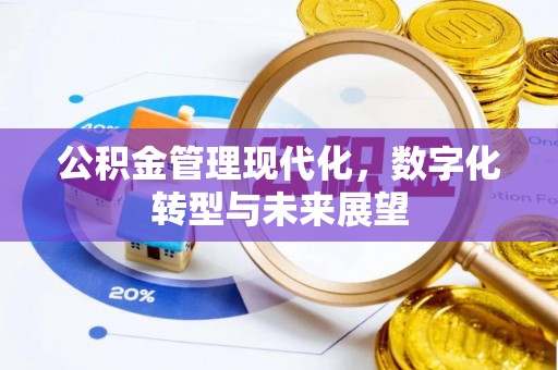 雨花台公积金管理现代化，数字化转型与未来展望