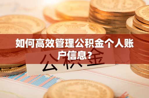 雨花台如何高效管理公积金个人账户信息？
