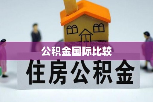 雨花台公积金国际比较