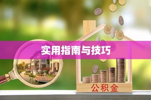 雨花台实用指南与技巧