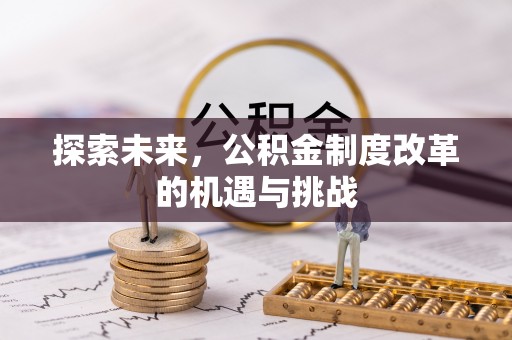 雨花台探索未来，公积金制度改革的机遇与挑战