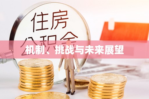 雨花台机制、挑战与未来展望